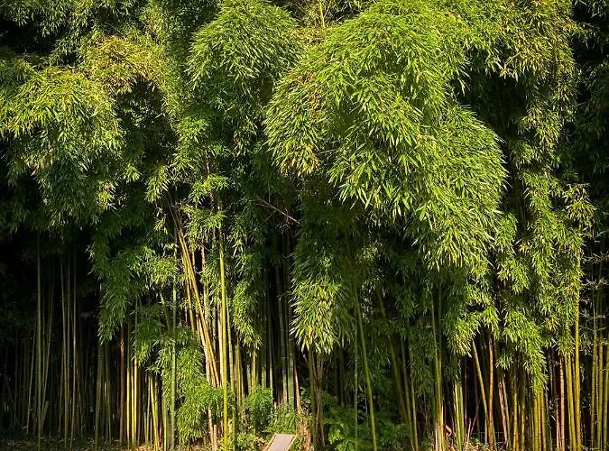 Dordogneview Vakantiehuis Cales (Aquitaine)